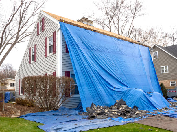 Best Carpet Removal and Disposal  in South Shore, KY