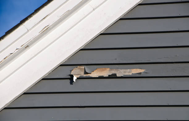 Best Demolition Debris Removal  in South Shore, KY